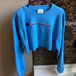 Champion Blue Sweater Size S